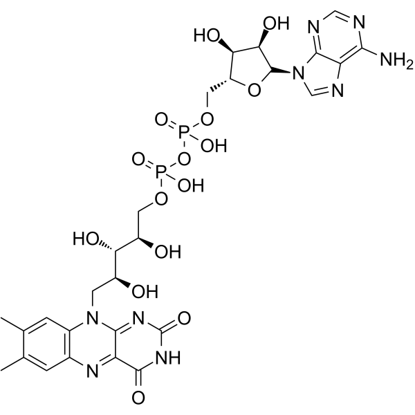Flavin Adenine Dinucleotide 146-14-5